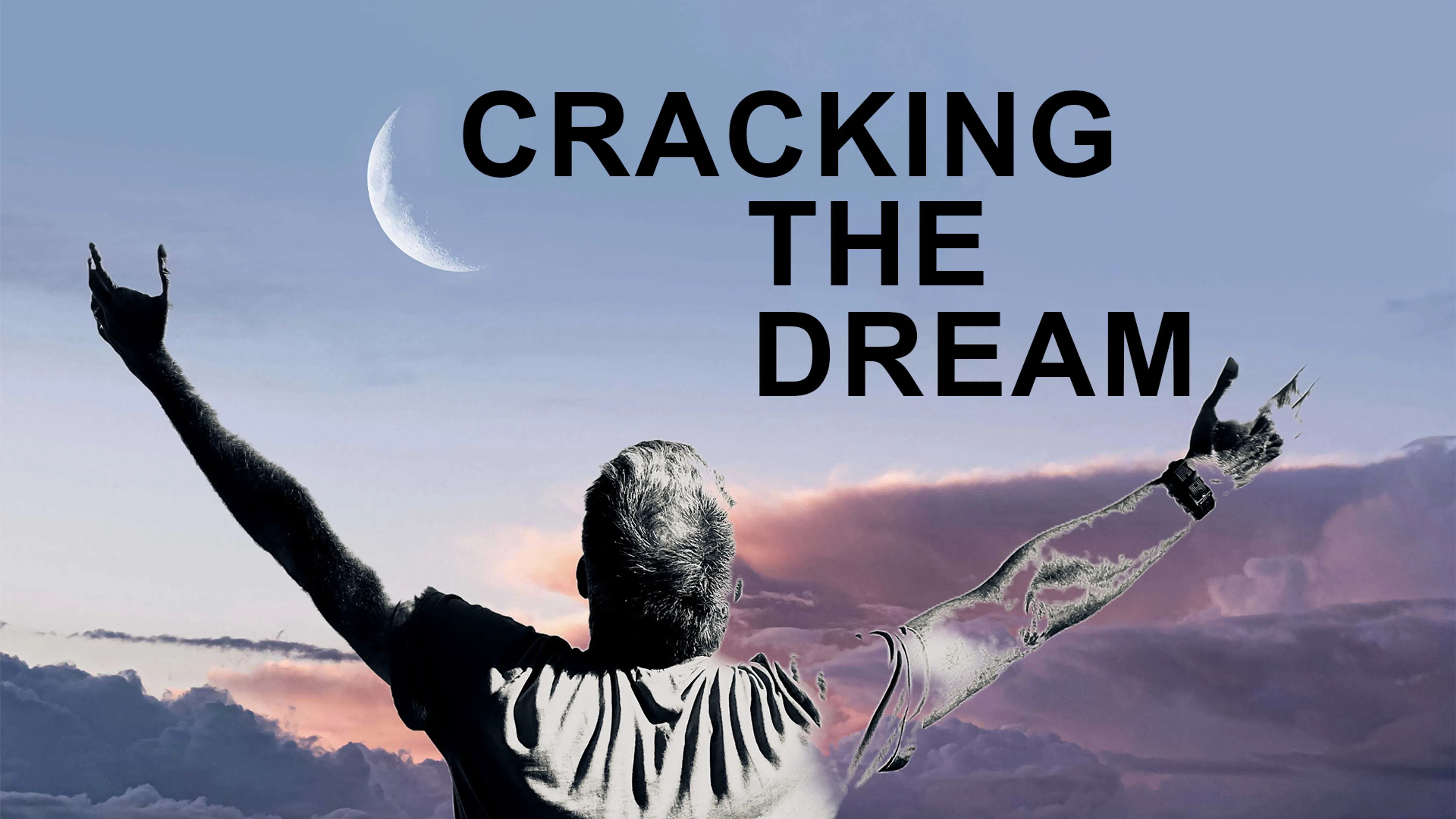 Cracking The Dream poster